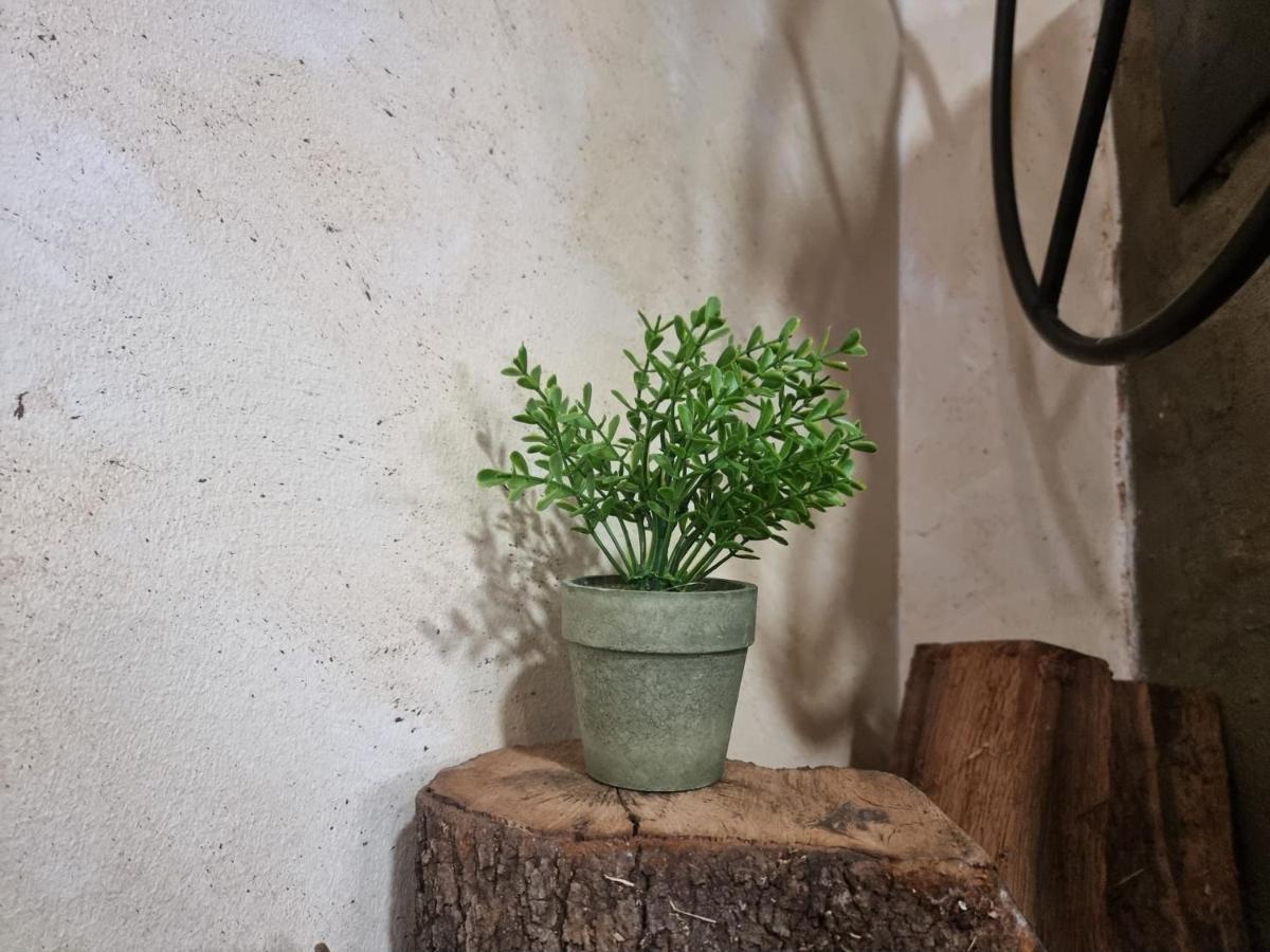 Hostal Casa Fran La Pueblanueva 外观 照片